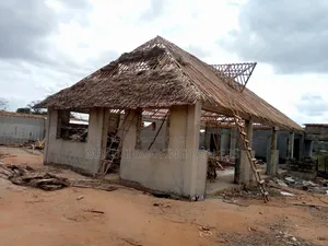 Professional Makuti Roofing and Designers