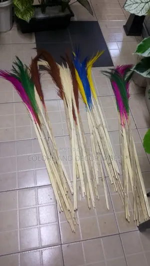 Grass 1m Long Pampas