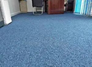 Soft Padded Wall to Wall Carpet Safe for Kids