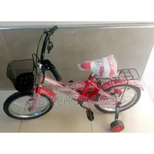 Lion King Bicycle Size 16