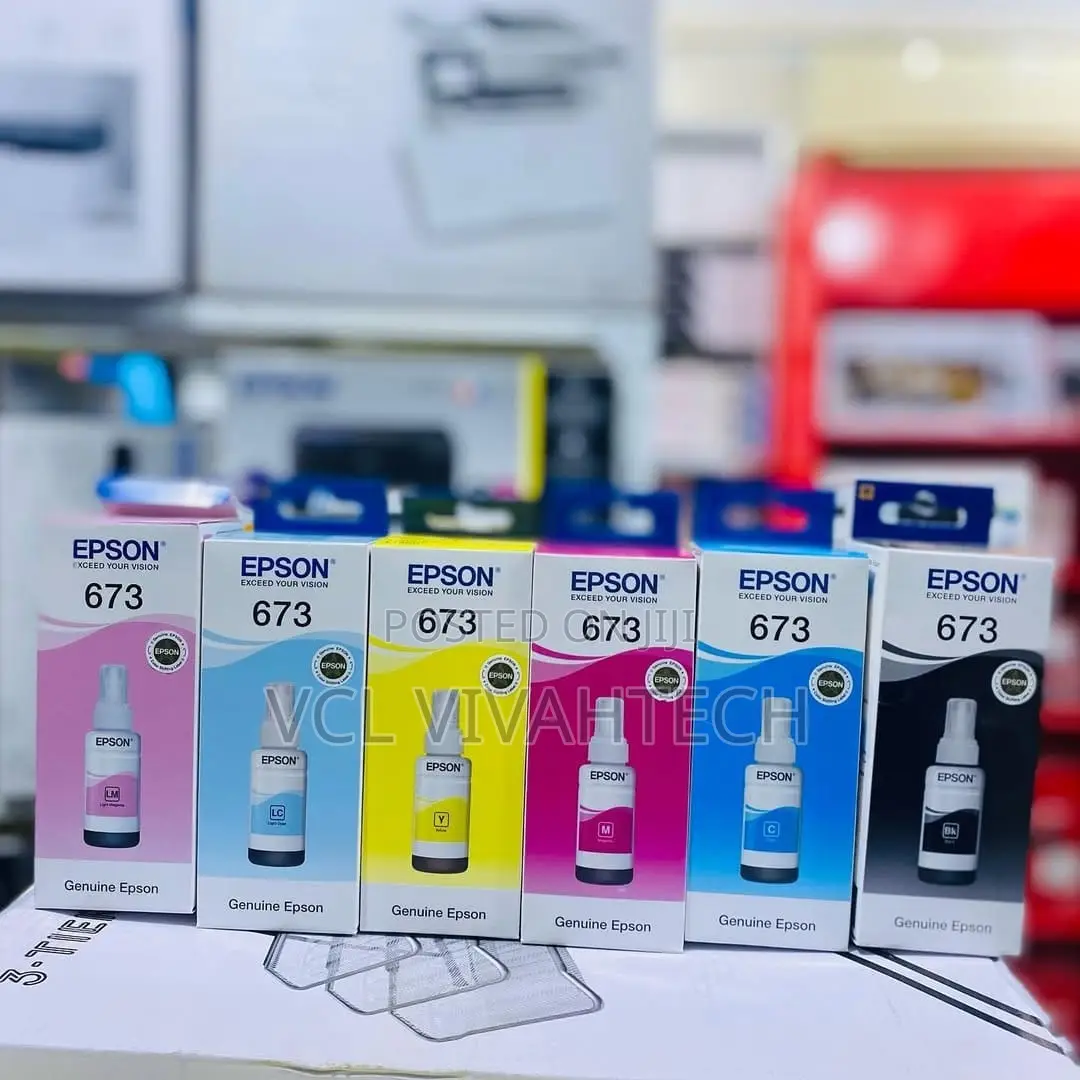 Epson T673 Inks