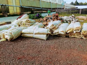 Second Hand Green House Poly