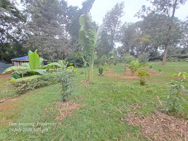 1 Acre Red Soil in Karen Windridge Touching Tarmac for Sale - thumbnail 4