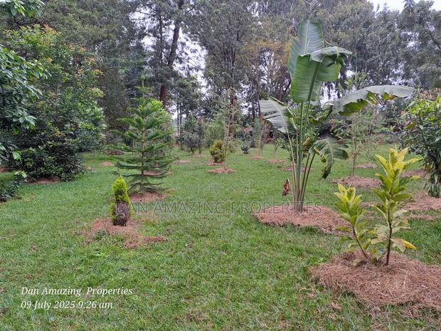 1 Acre Red Soil in Karen Windridge Touching Tarmac for Sale - thumbnail 6