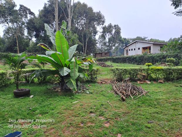 1 Acre Red Soil in Karen Windridge Touching Tarmac for Sale - thumbnail 10