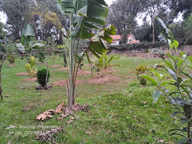 1 Acre Red Soil in Karen Windridge Touching Tarmac for Sale - thumbnail 11