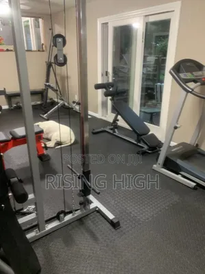 Dual Pulley Gym Equipment