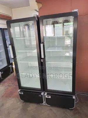 Realiable Chiller 400l ( Good Working Condition)
