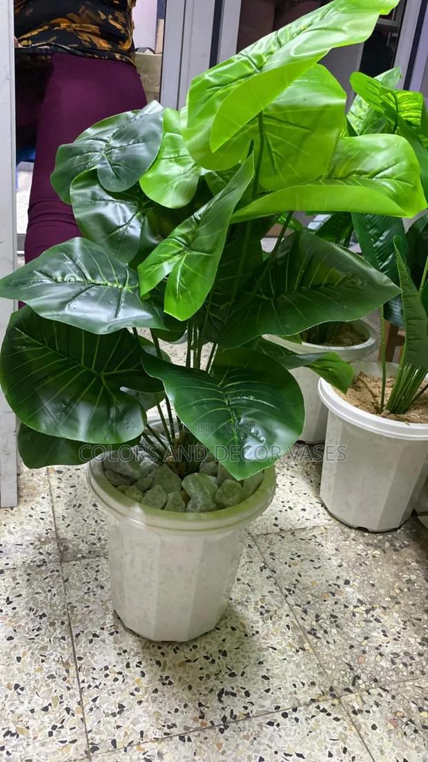 Plain Green in Vase