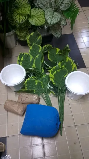 Vases and Flowers Long