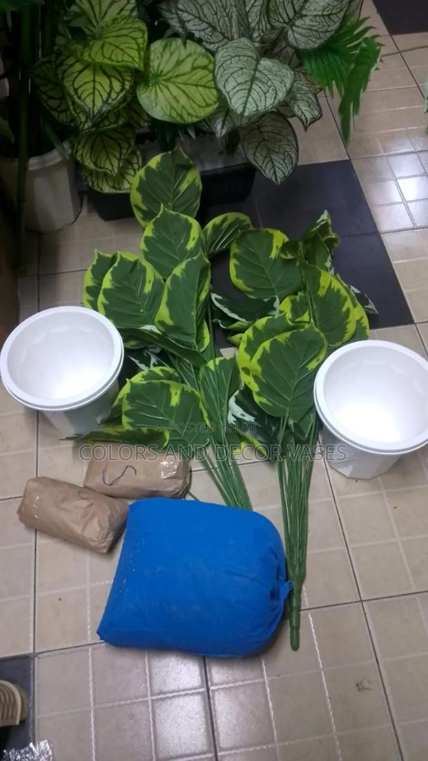 Vases and Flowers Long - main view