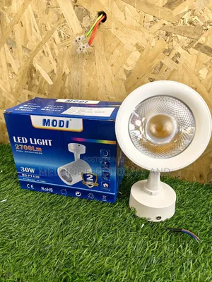 Track Light 30w