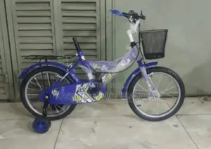 Blue Lion King Kids Bike. Size 16