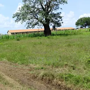 Prime 1/8 Acre Plot Opposite New Life Church