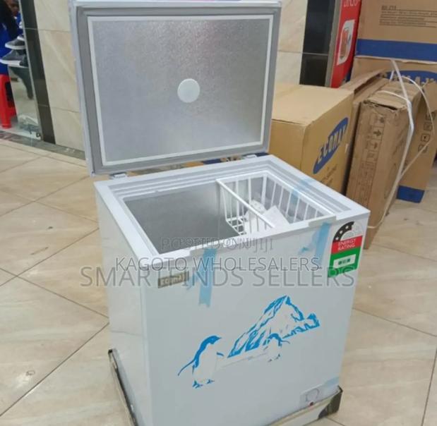 119l Ecomax Deep Freezer - main view