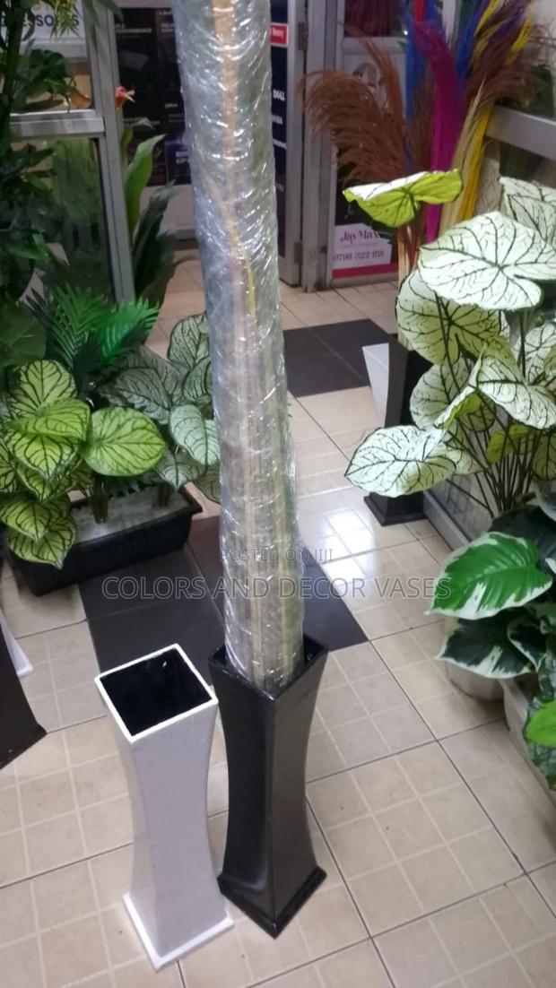 Plants, Flowers, Vases in Variety - main view