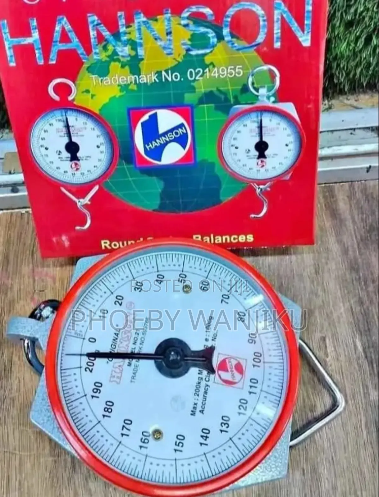 Hanson Quality Hook Weigh Scale