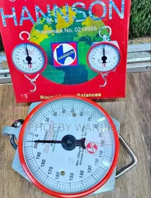 Hanson Quality Hook Weigh Scale