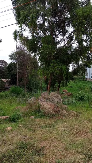 Prime One Acre Kiambu Road