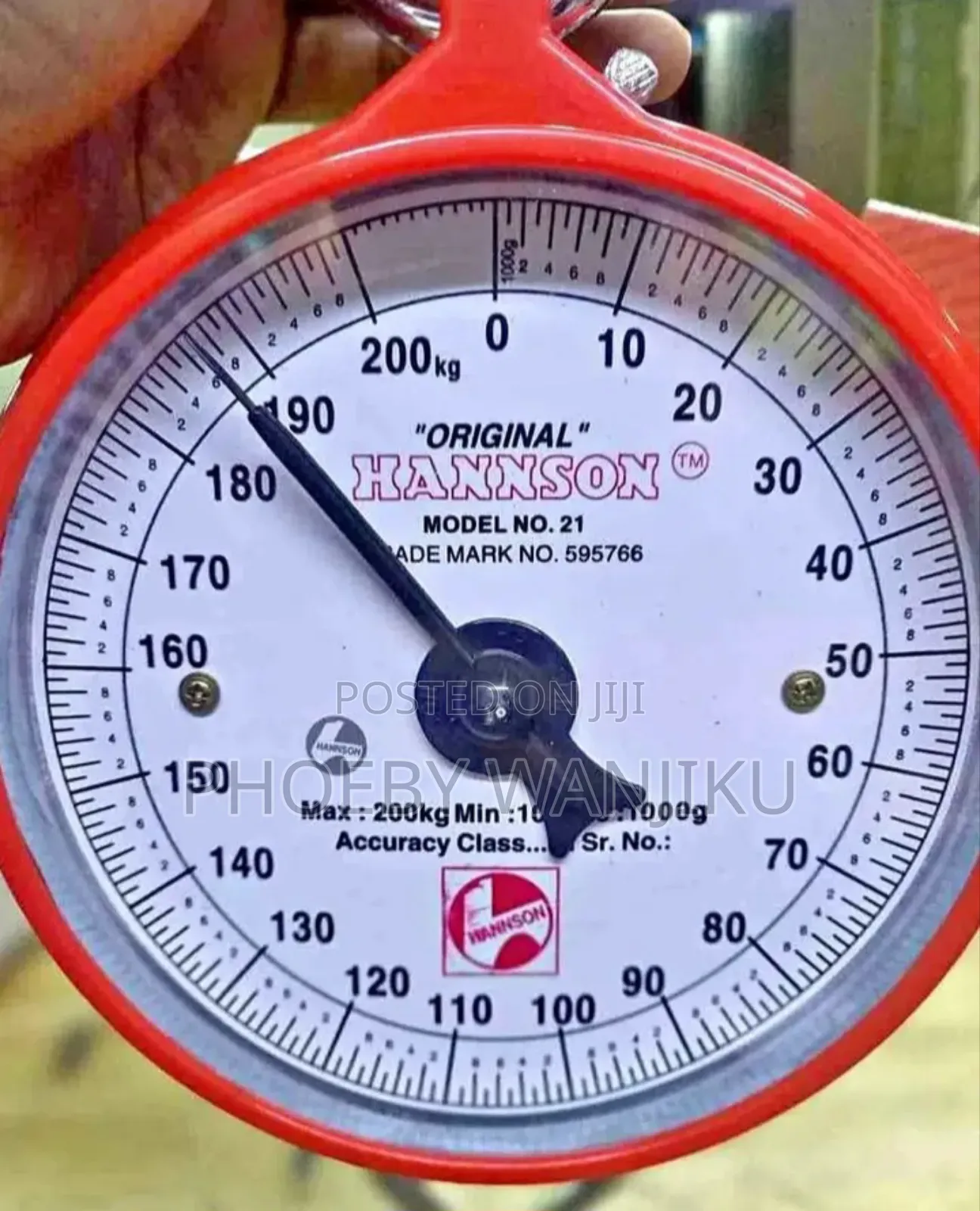 Portable Hooked Hannson Scale
