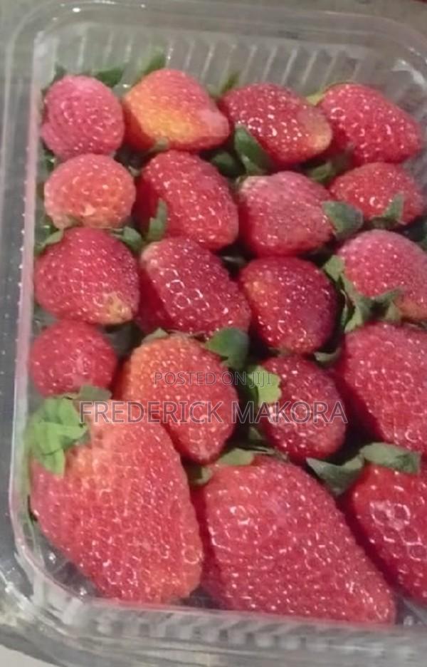 Fresh Organic Strawberries - thumbnail 2