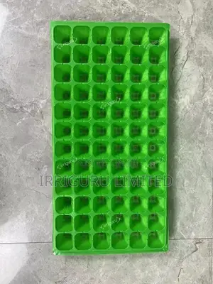 Sprouts Cells