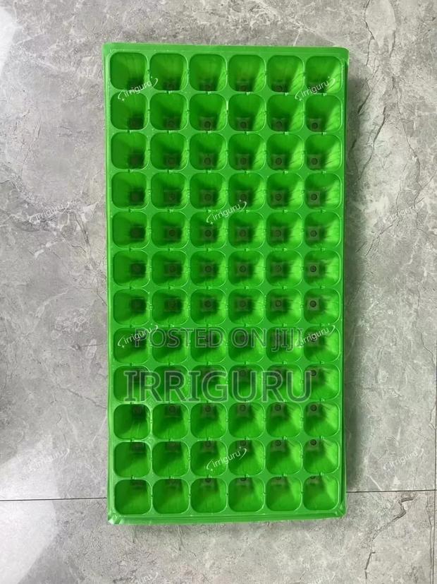 Sprouts Cells