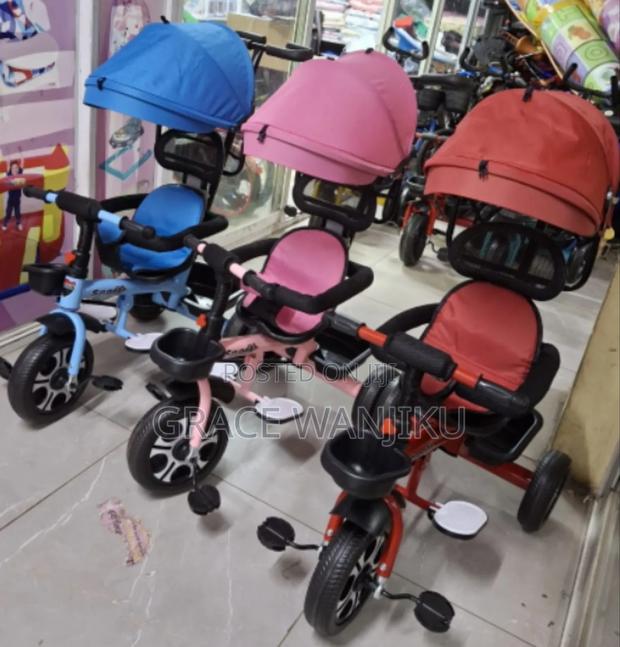 Tricycles With Push Handle and a Canopy