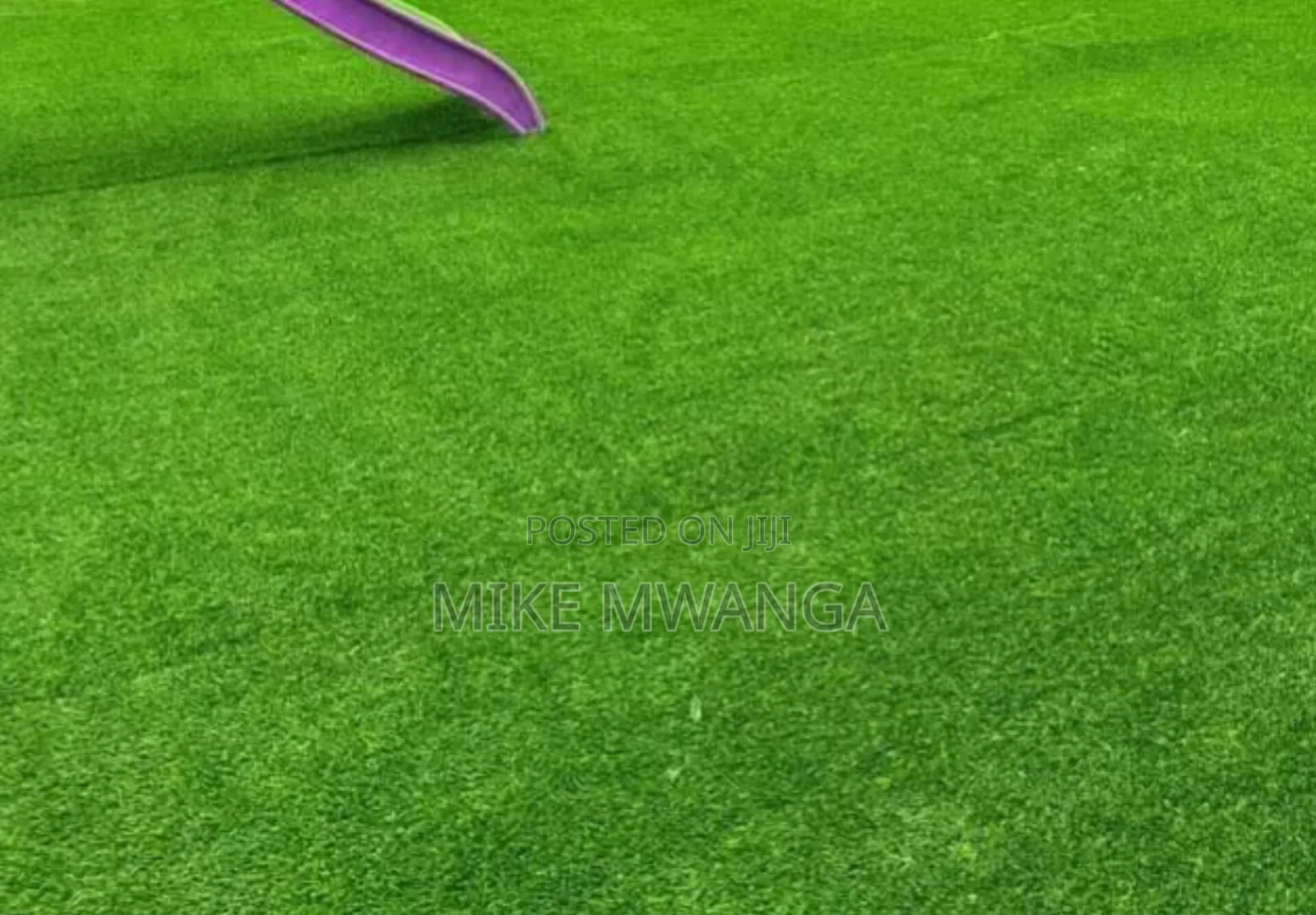 Grass Carpet(Artificial)