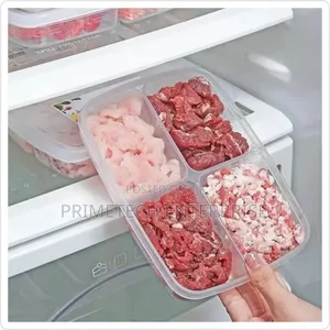 Reusable Compartment Fridge Containers