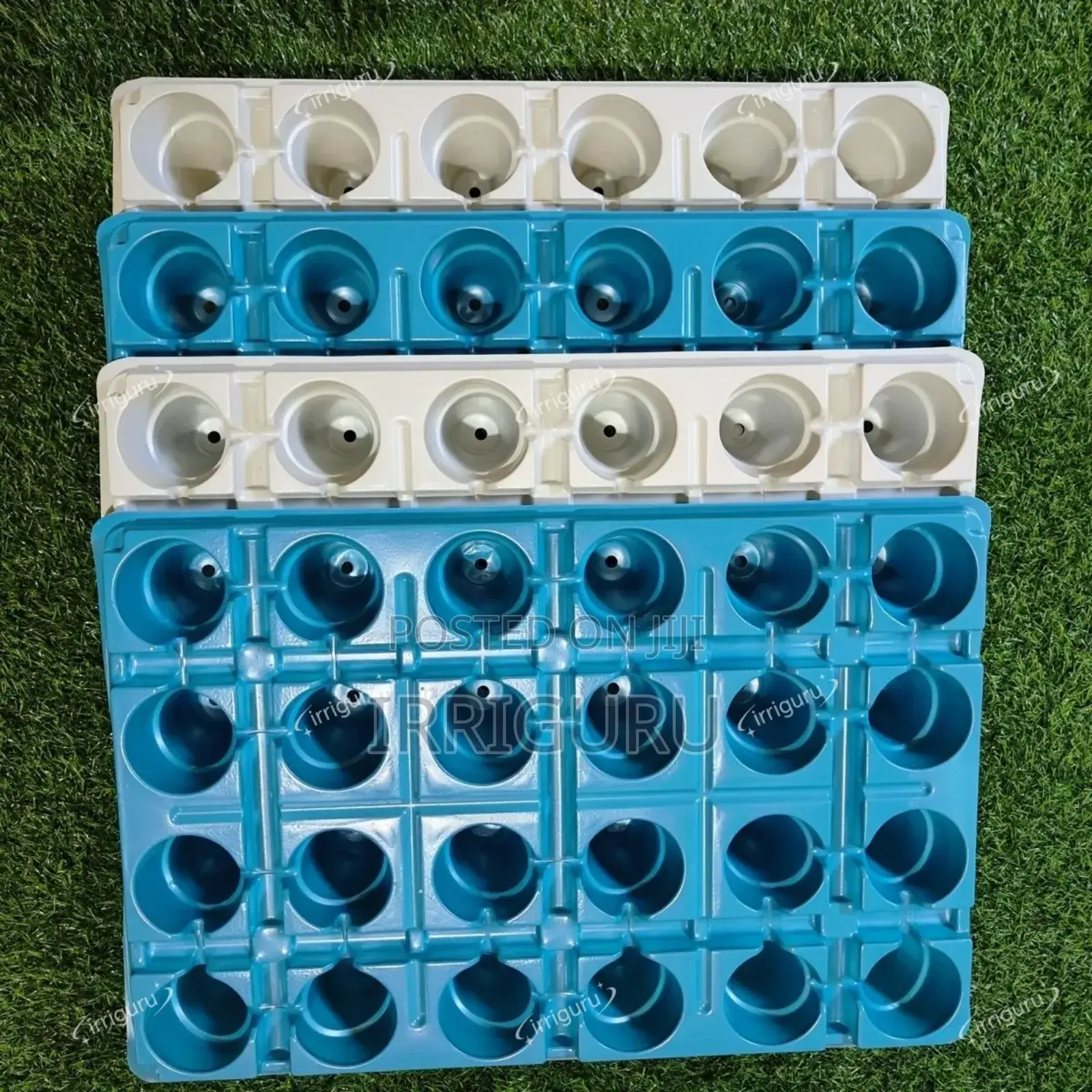 Plant Starter Kit