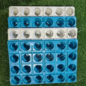 Plant Starter Kit