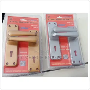 Mortise Door Locks