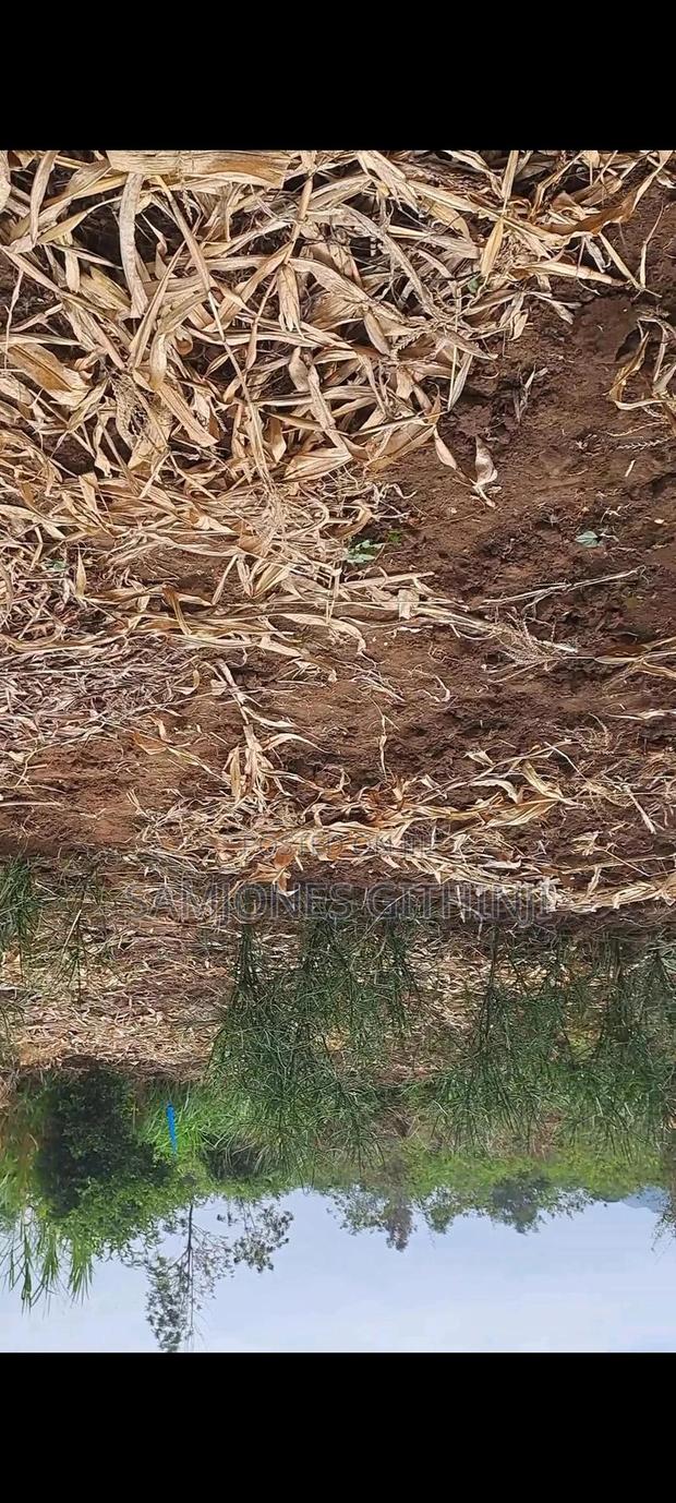 Plot For Sale. Kambirwa, 15 Min From Murang'a Town - thumbnail 3