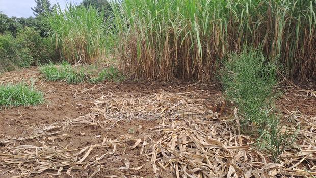 Plot For Sale. Kambirwa, 15 Min From Murang'a Town - thumbnail 2