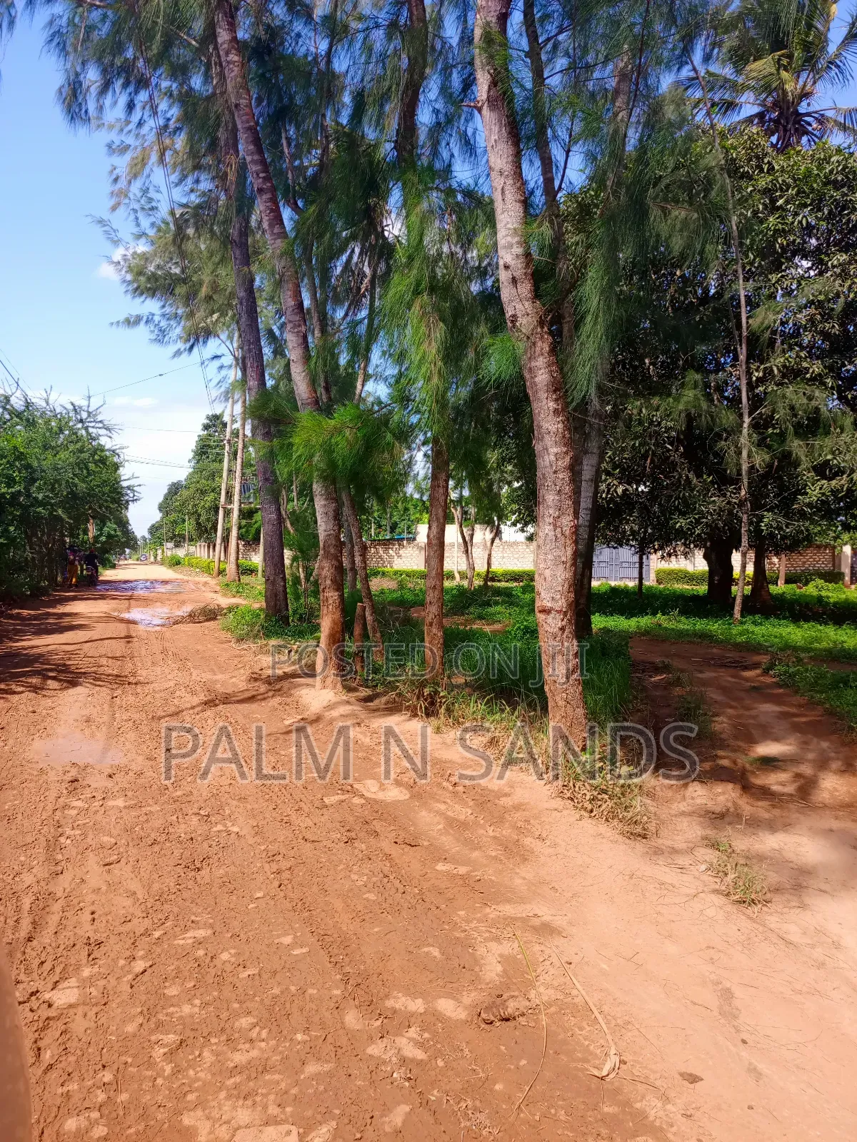 1/4 Acre Plot on Sale in Mvideni Diani