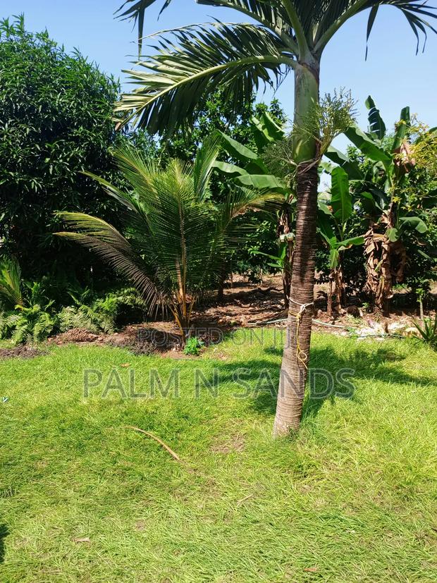1/4 Acre Plot on Sale in Mvideni Diani - thumbnail 5