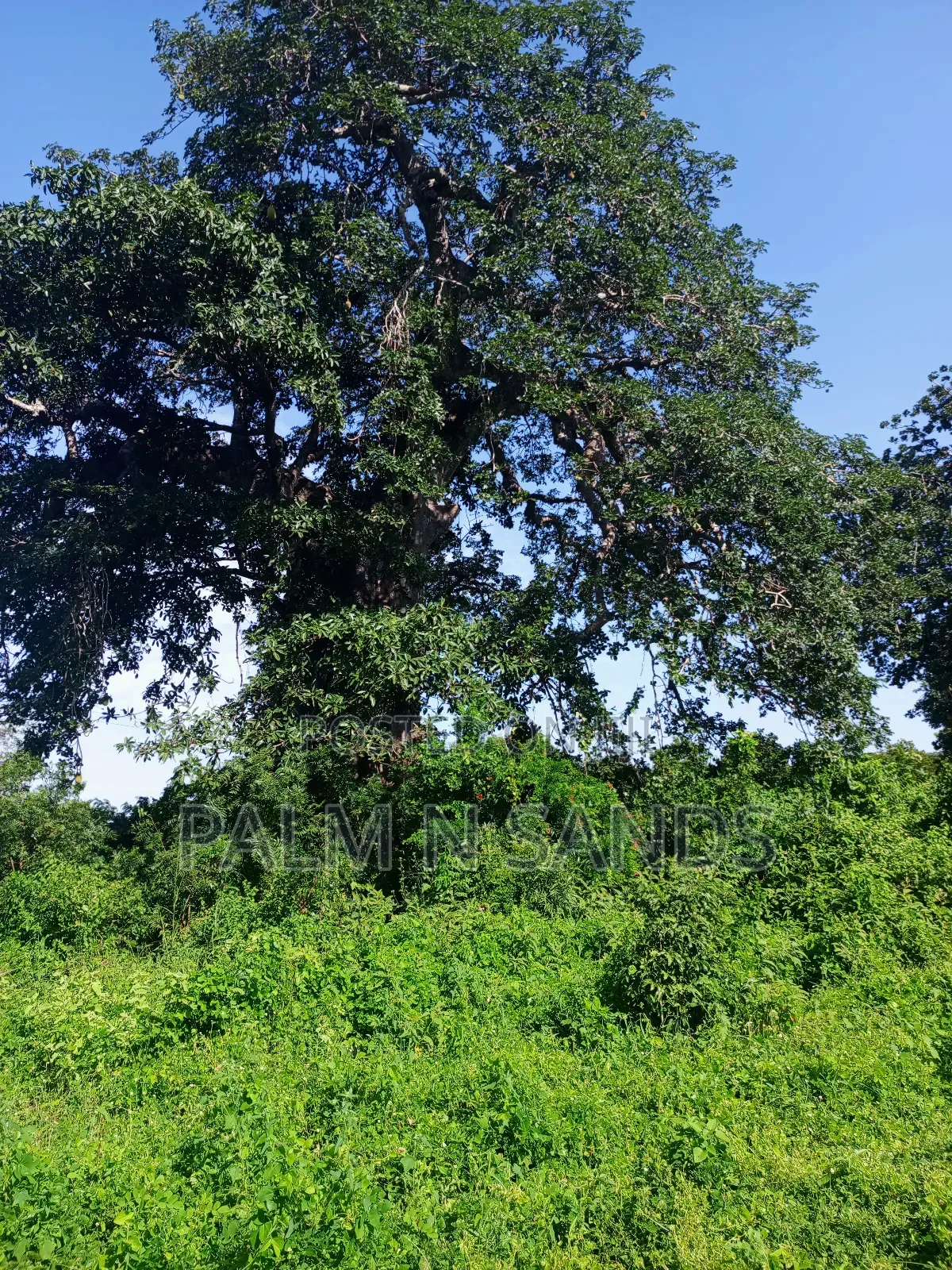 1 Acre on Sale Behind Manyatta Restaurant Diani