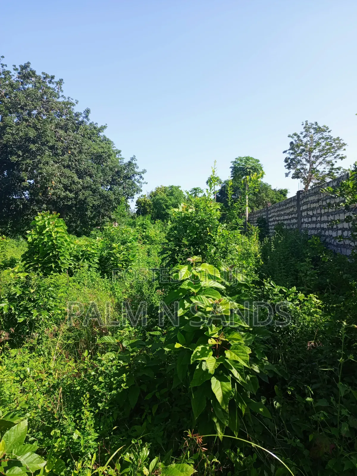1 Acre on Sale Behind Manyatta Restaurant Diani