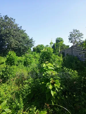 1 Acre on Sale Behind Manyatta Restaurant Diani