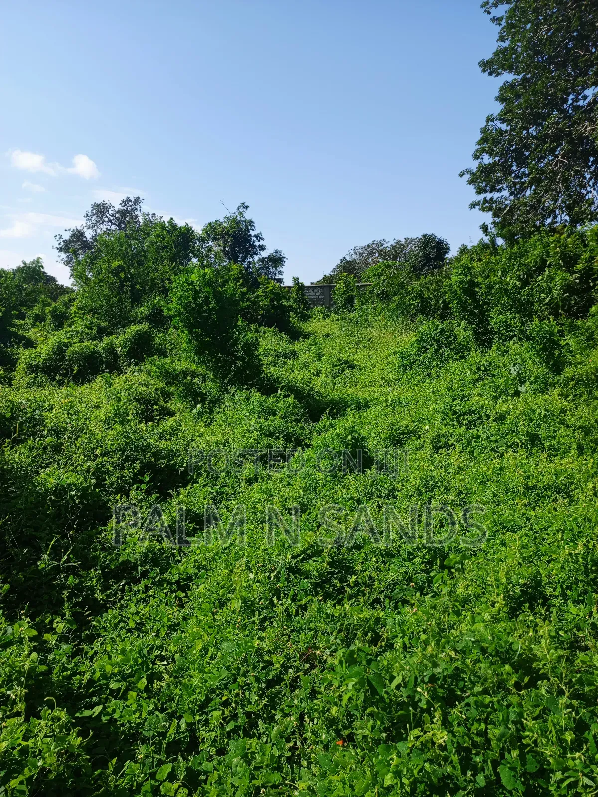 1 Acre on Sale Behind Manyatta Restaurant Diani