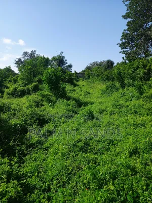 1 Acre on Sale Behind Manyatta Restaurant Diani