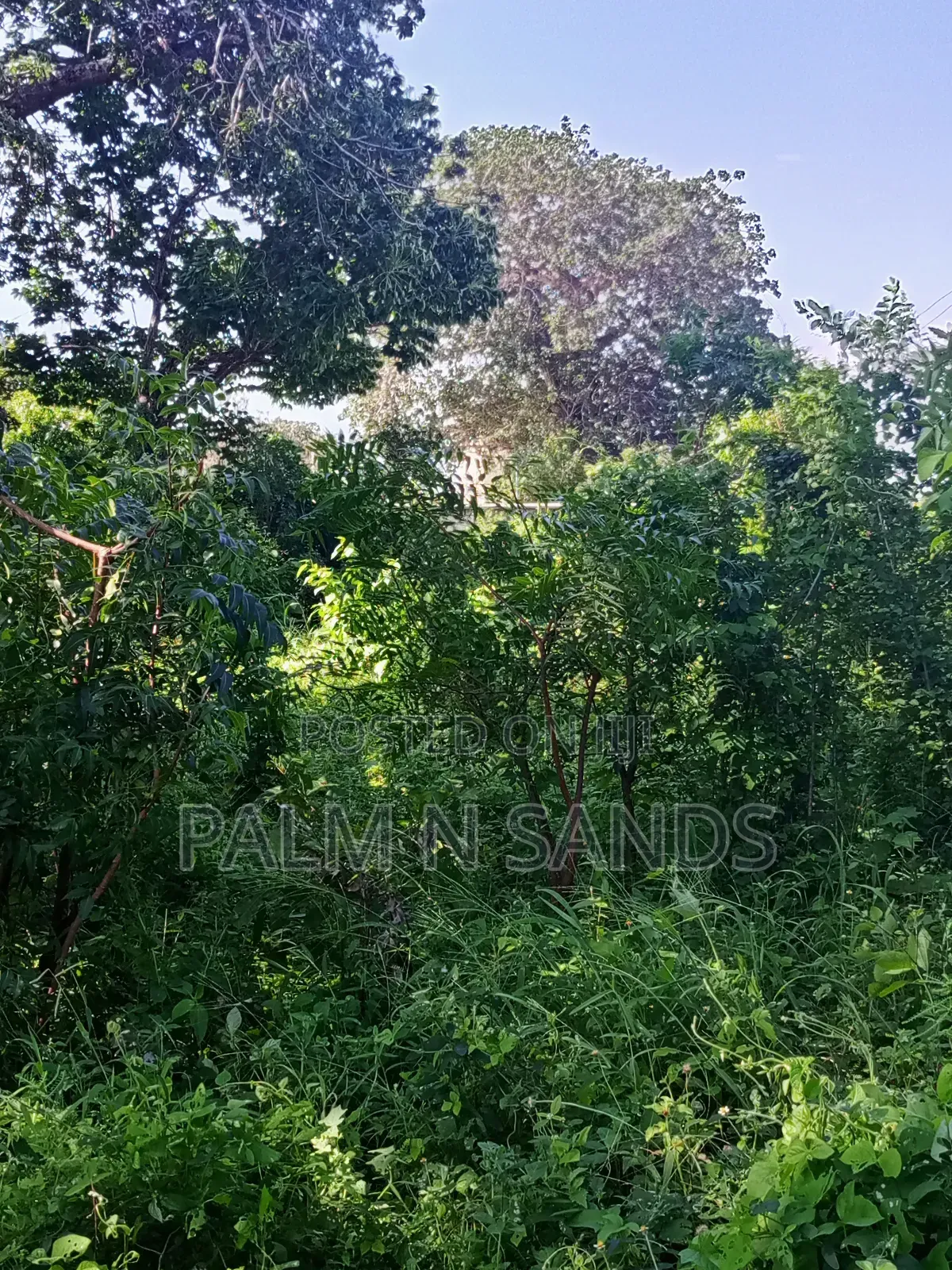 1 Acre on Sale Behind Manyatta Restaurant Diani