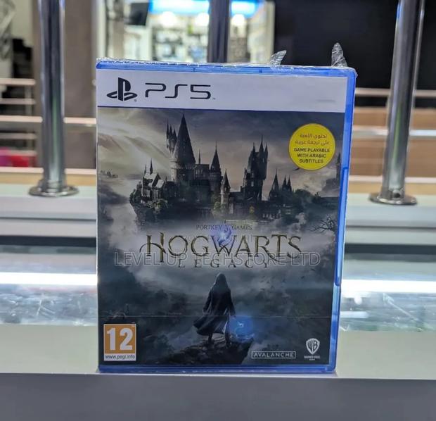 Hogwarts Legacy Ps5 - main view