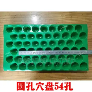 Seedling Trays All Holes