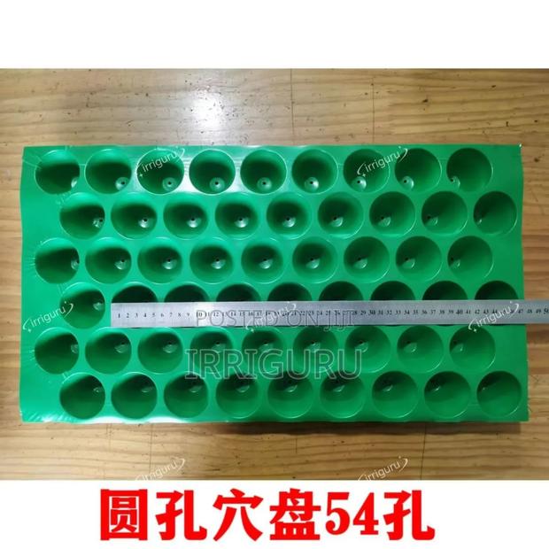 Seedling Trays All Holes - main view