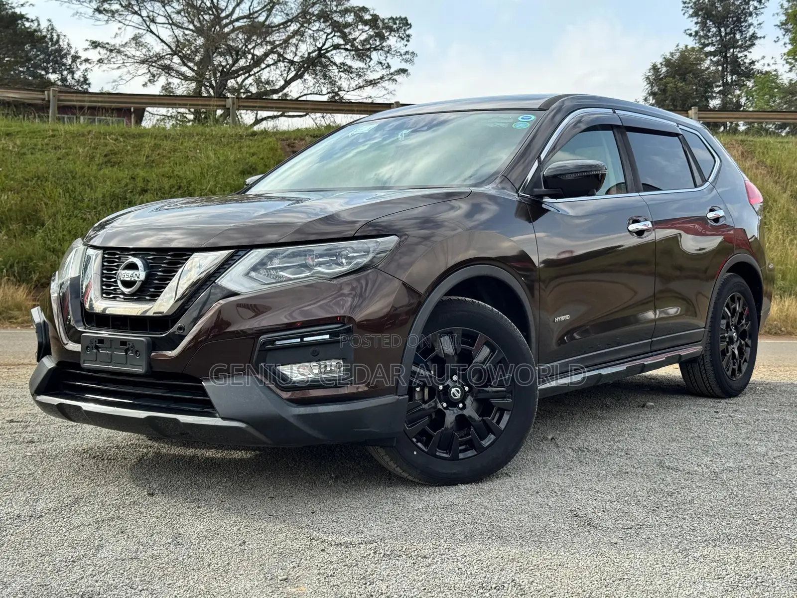 Nissan X-Trail 2017 Brown