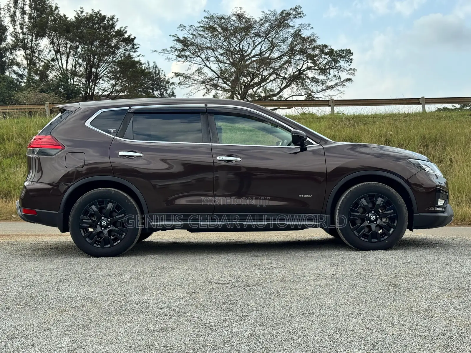 Nissan X-Trail 2017 Brown