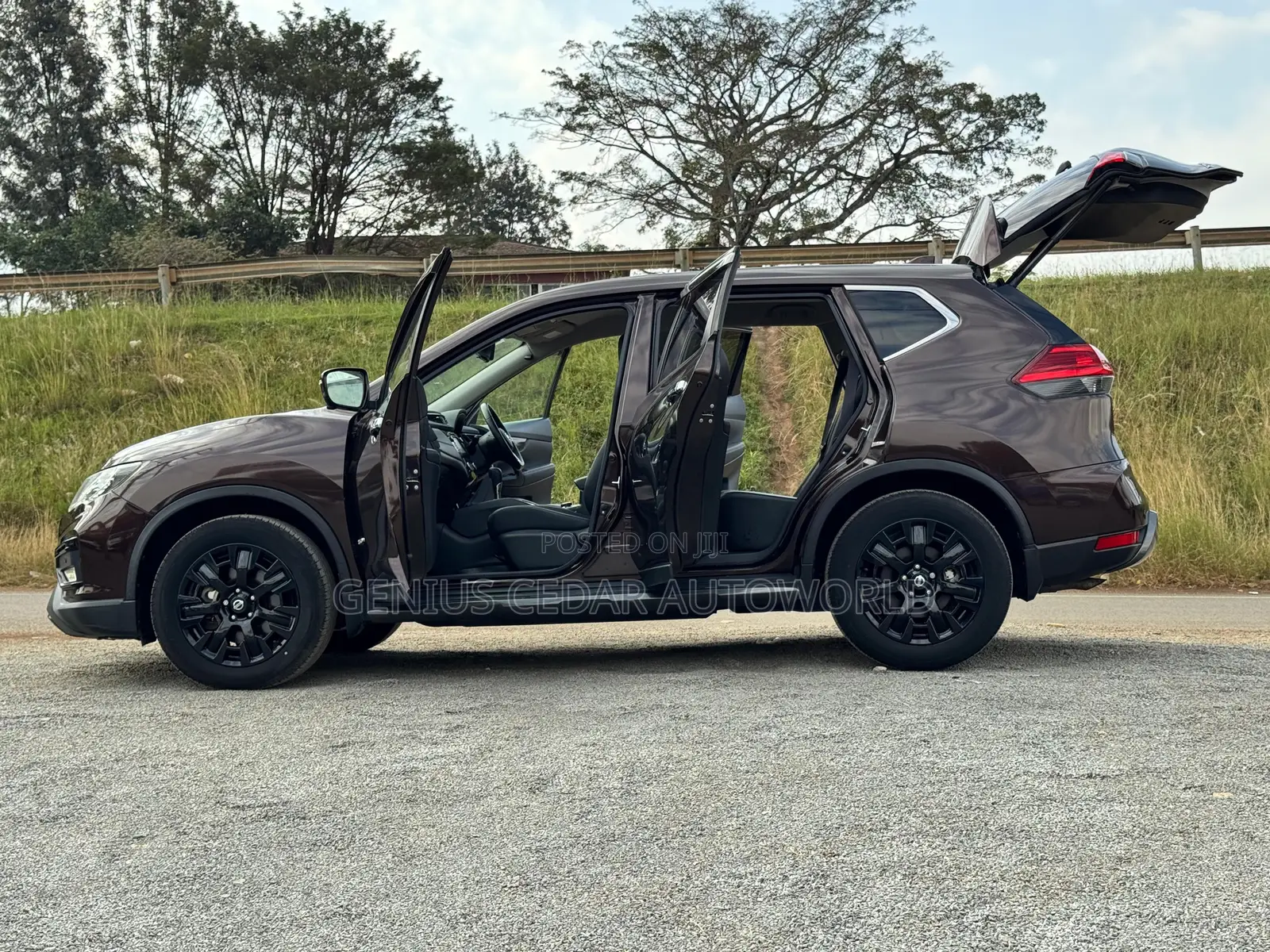 Nissan X-Trail 2017 Brown