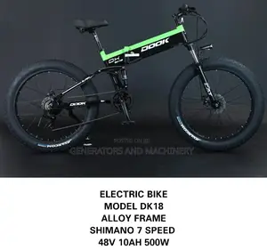 Electric Bike